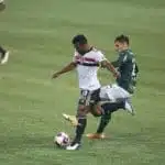 "Fiquei cansado de te ver correr", brinca técnico do Palmeiras com o volante Luan do SPFC