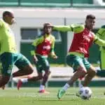 Palmeiras deve ter força total contra o São Paulo