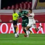 Confira os palpites da equipe do Arquibancada Tricolor para Palmeiras x São Paulo