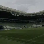 Vistoria será realizada no Allianz Parque após jogo do São Paulo