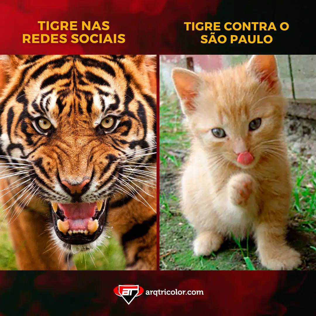 Tigre virou gatinho? Confira os melhores memes da vitória do São Paulo na estreia na Sul-Americana