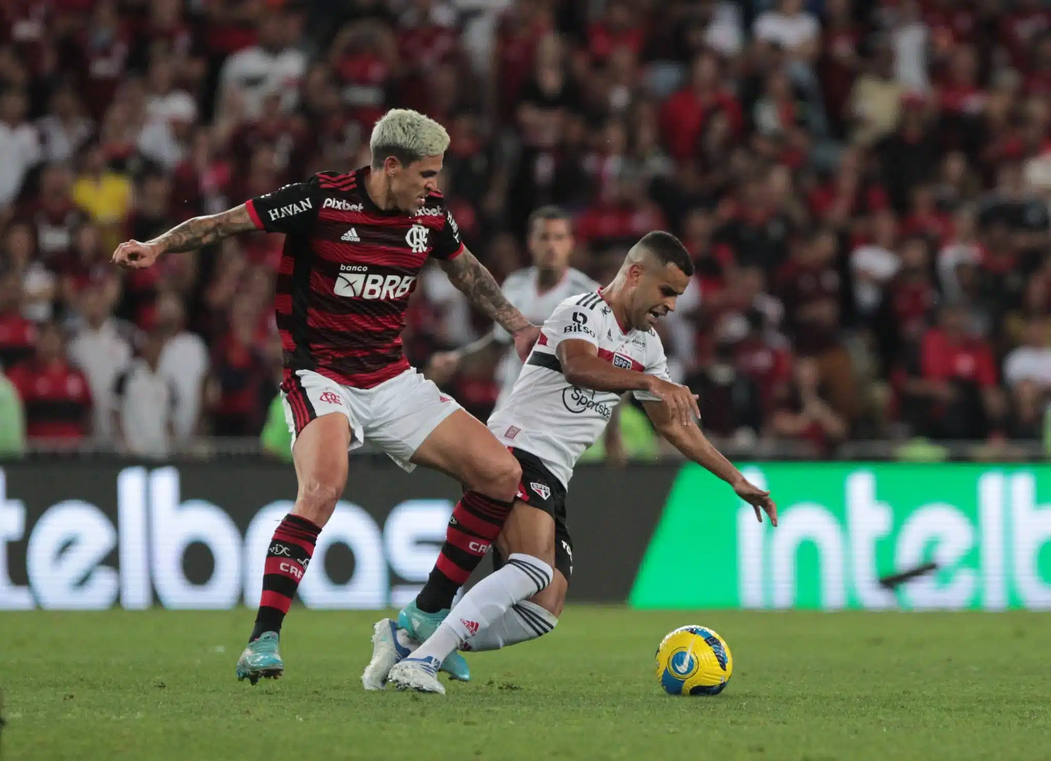 Onde assistir Flamengo x São Paulo | Brasileirão 2023