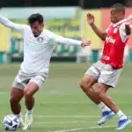 Titular do Palmeiras sofre fratura e é desfalque confirmado contra o São Paulo
