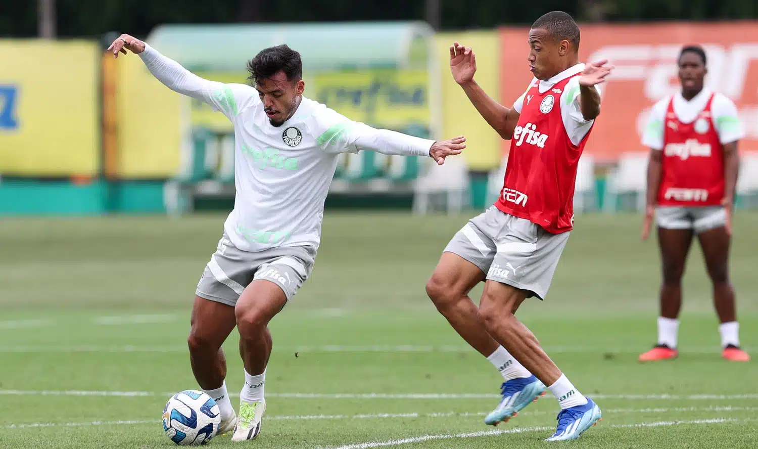Titular do Palmeiras sofre fratura e é desfalque confirmado contra o São Paulo