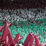 Fluminense divulga parcial de ingressos vendida para jogo contra o São Paulo