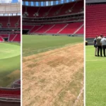 Estado do gramado do Mané Garrincha viraliza antes do jogo do São Paulo; confira