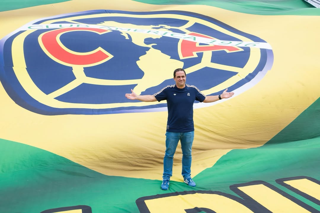 image para ilustrar o artigo