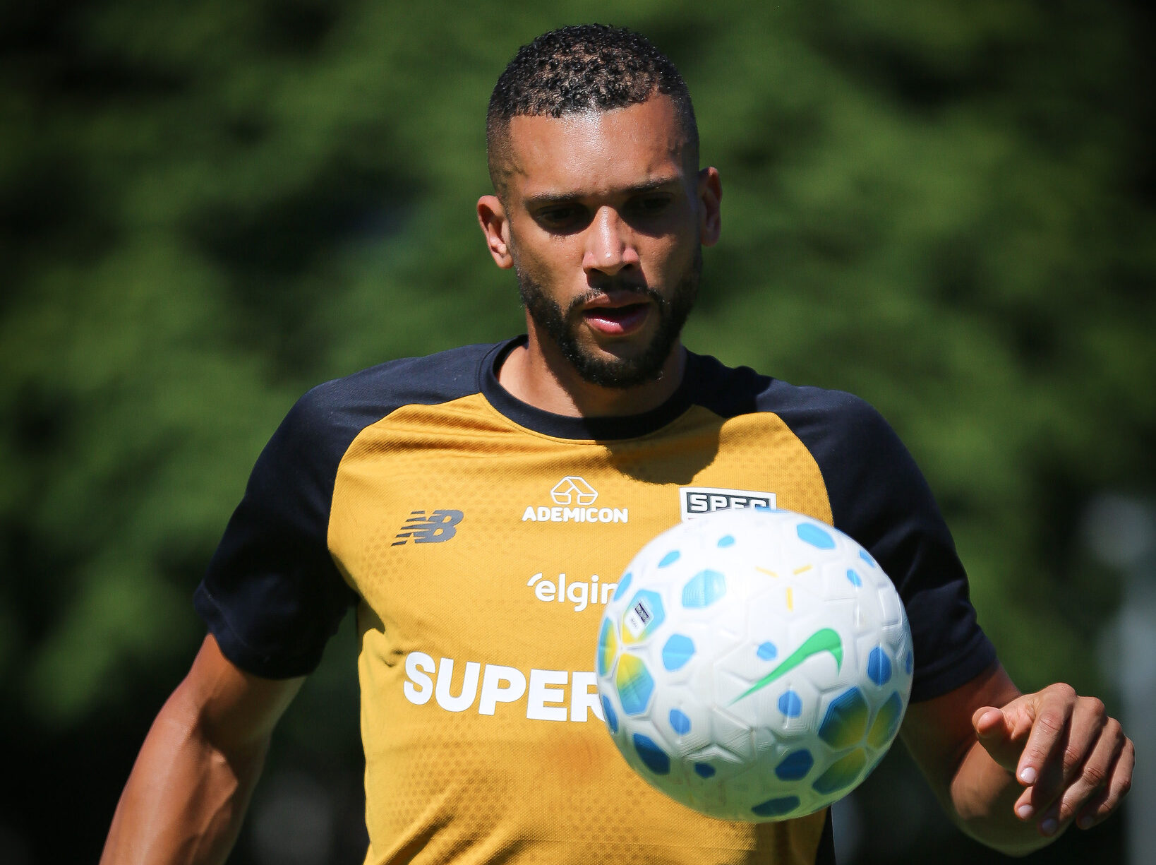 image para ilustrar o artigo