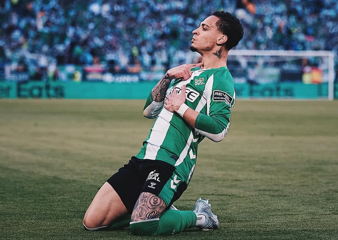 image para ilustrar o artigo